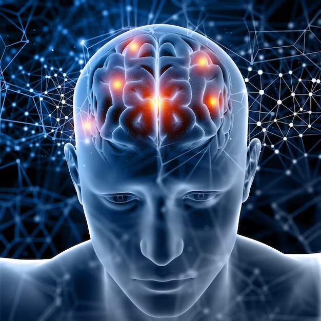 مغز انسان بصورت سه بعدی پزشکی